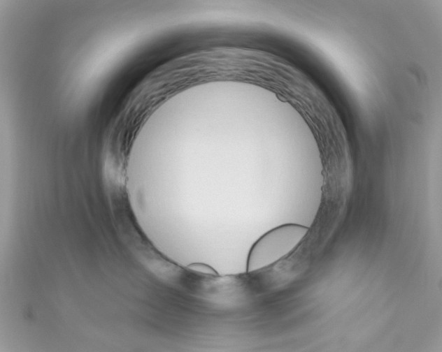 X0000111020431200907171859