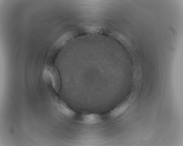 X0000111020432200907171859