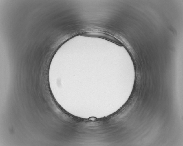 X0000111020433200907171858