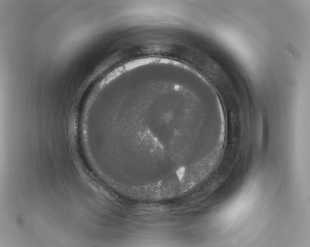 X0000111020435200907171858