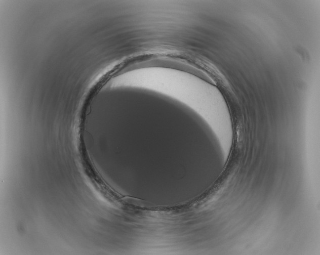 X0000111020436200907171858
