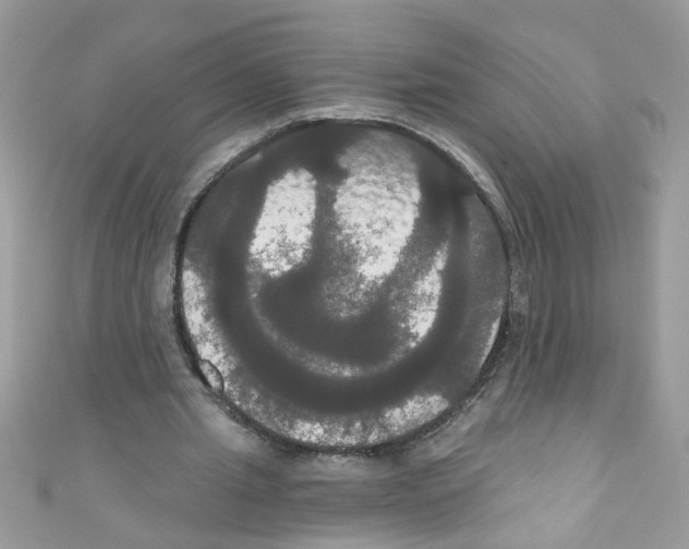 X0000111020437200907171858