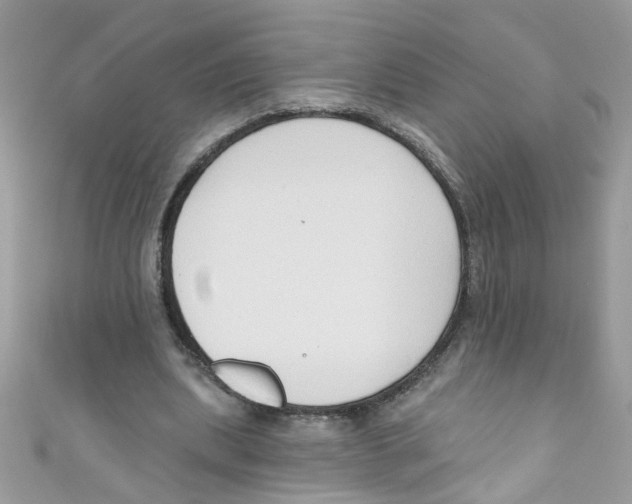X0000111020439200907171858
