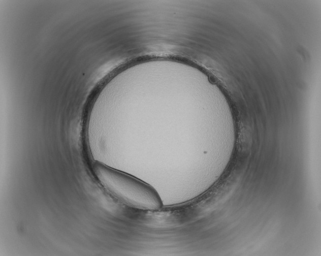 X0000111020440200907171858