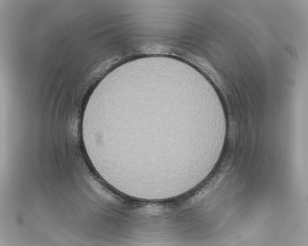 X0000111020441200907171858