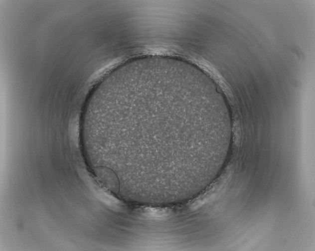 X0000111020442200907171858