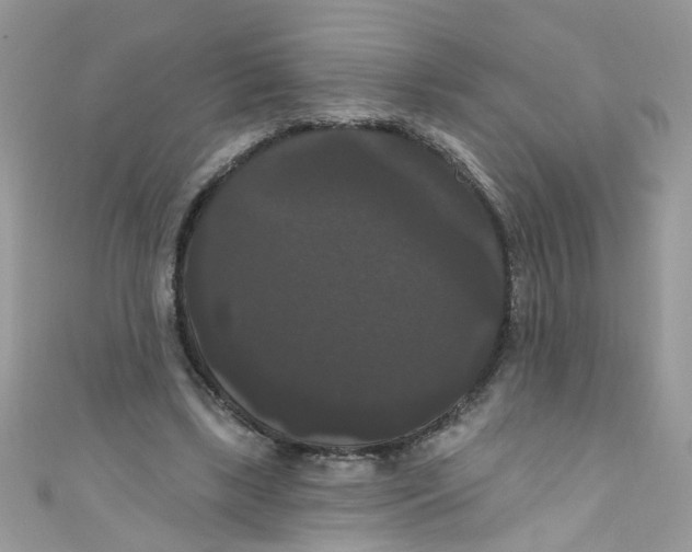 X0000111020443200907171858
