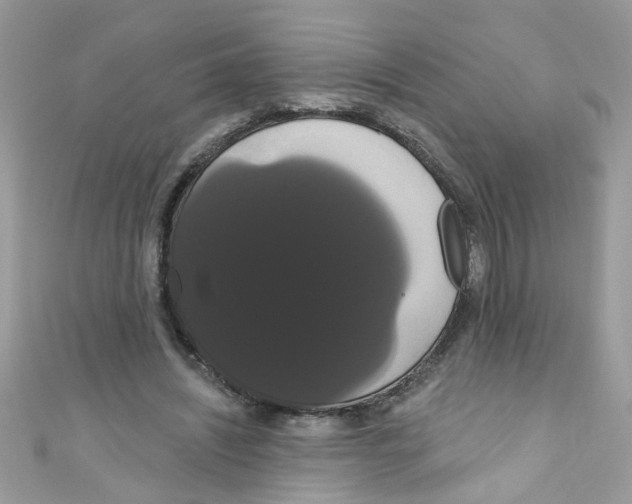 X0000111020444200907171858