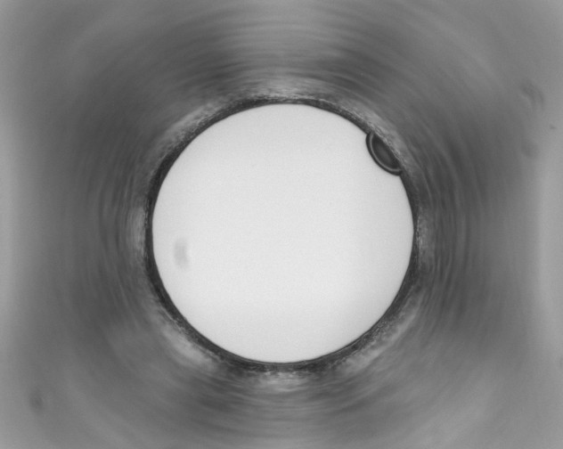 X0000111020445200907171858
