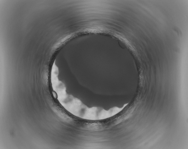 X0000111020446200907171858