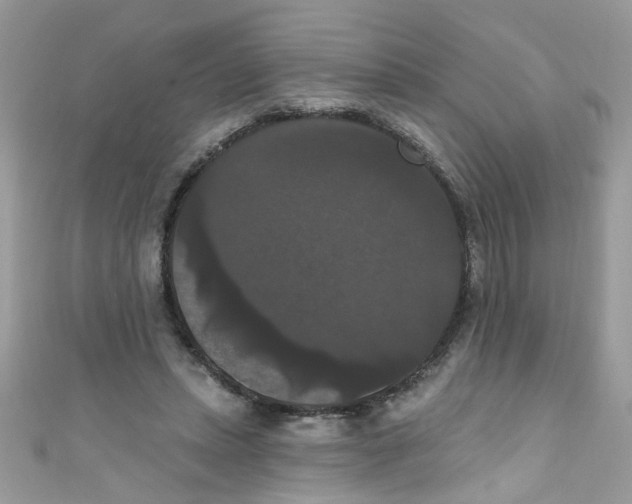 X0000111020447200907171858