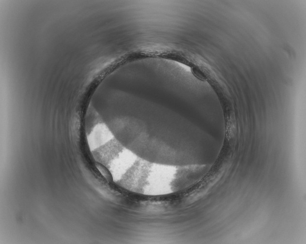 X0000111020448200907171858
