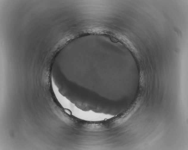X0000111020449200907171858