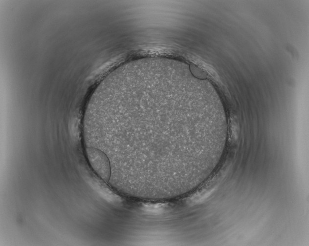 X0000111020450200907171858