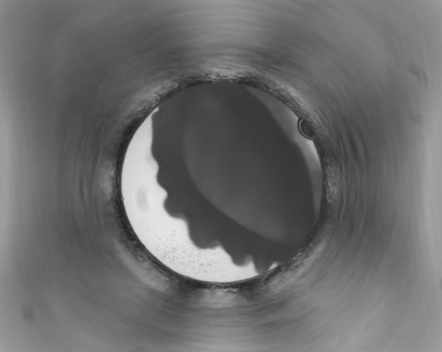 X0000111020451200907171858