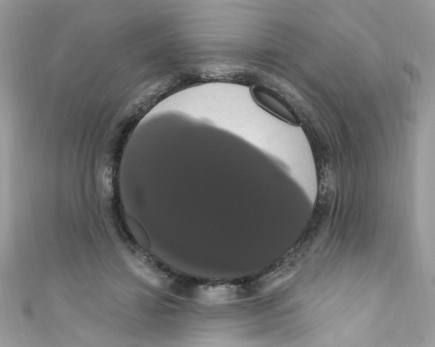 X0000111020452200907171858