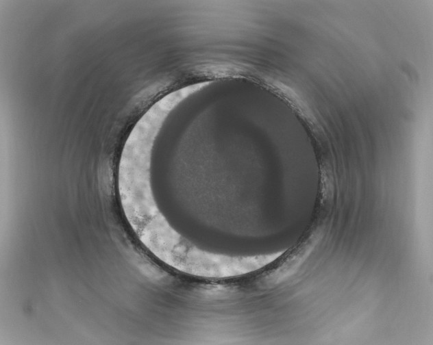 X0000111020453200907171858