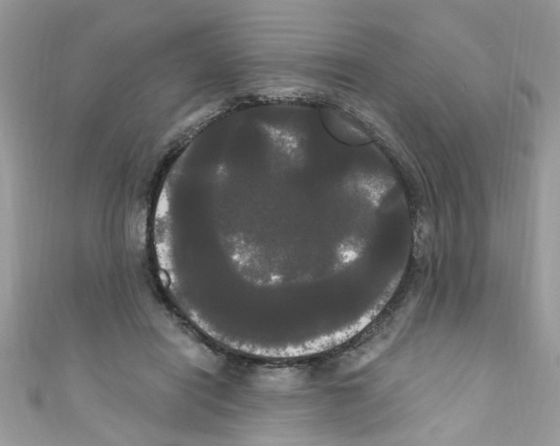 X0000111020454200907171858