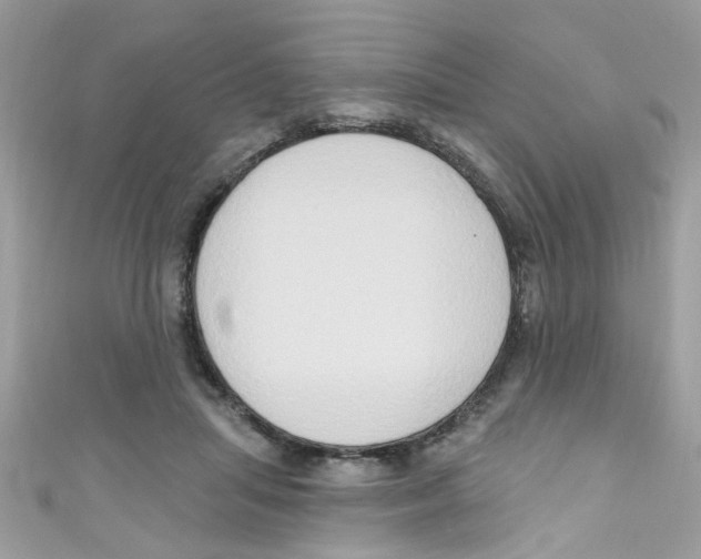 X0000111020455200907171858