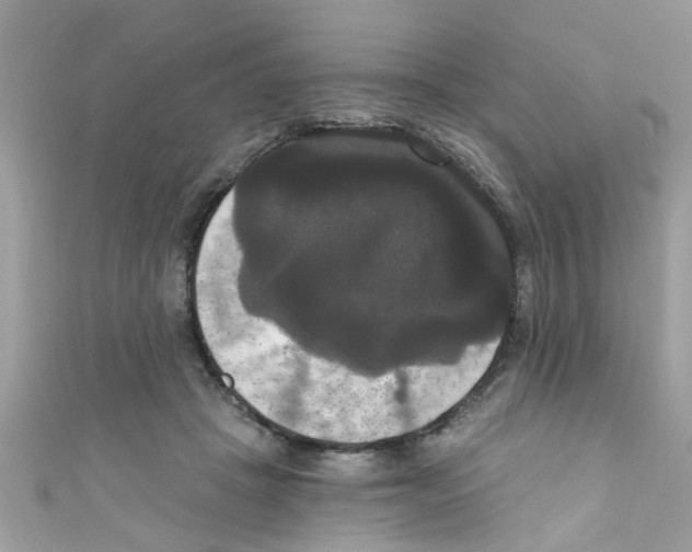 X0000111020457200907171858