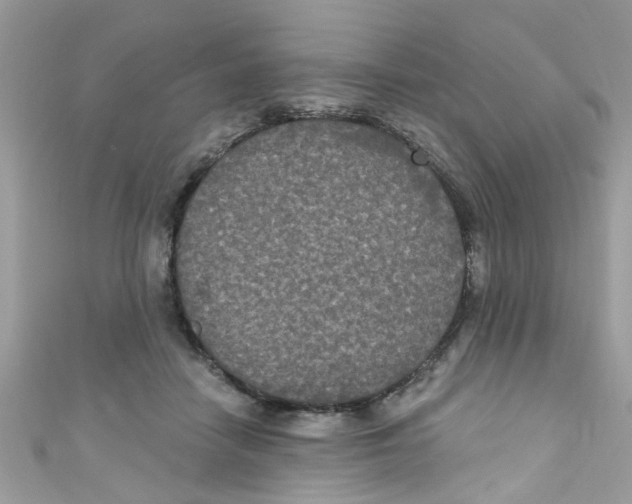 X0000111020458200907171858
