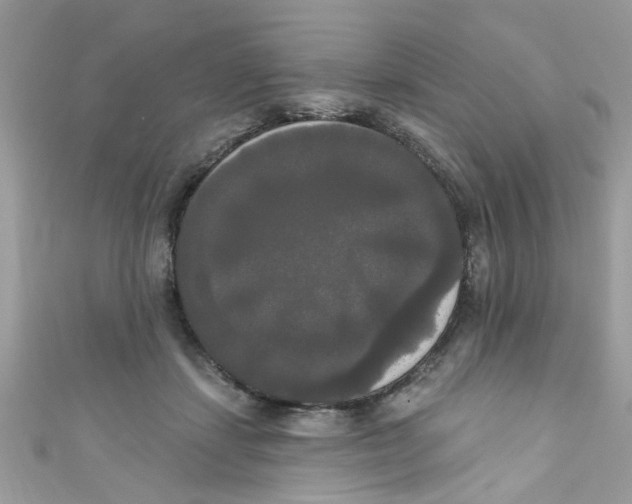 X0000111020459200907171858