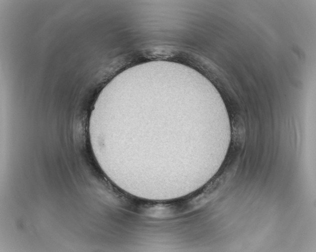 X0000111020460200907171858