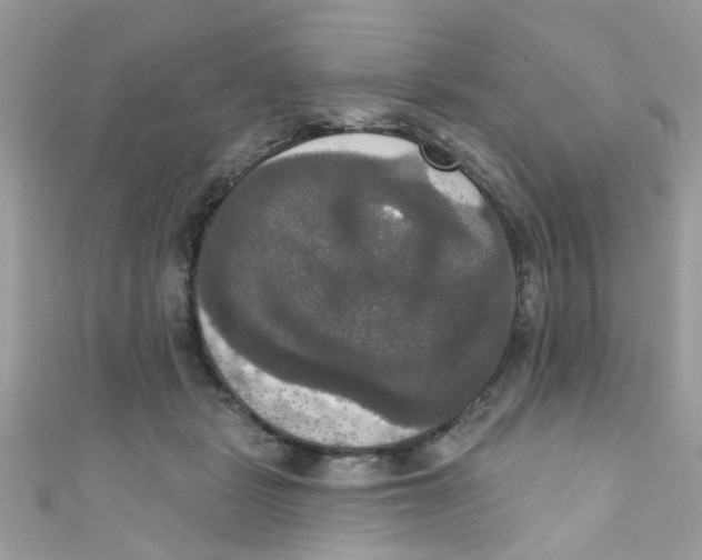 X0000111020461200907171858