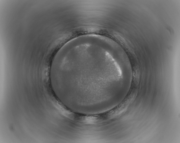 X0000111020462200907171858