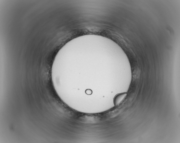 X0000111020464200907171859