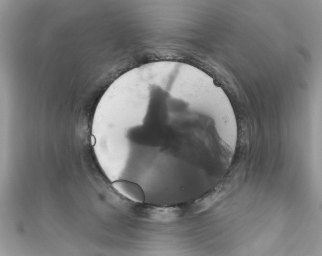 X0000111020465200907171859