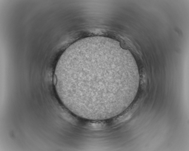 X0000111020466200907171859