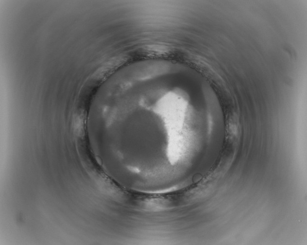 X0000111020468200907171859
