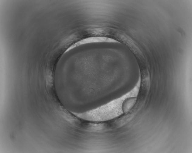 X0000111020469200907171859