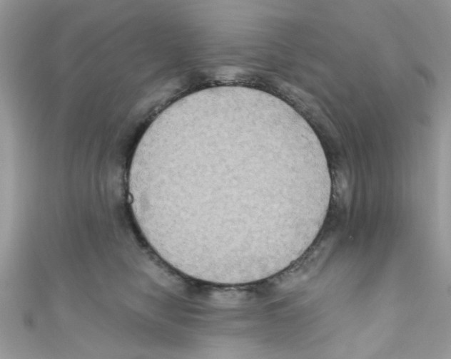 X0000111020470200907171859