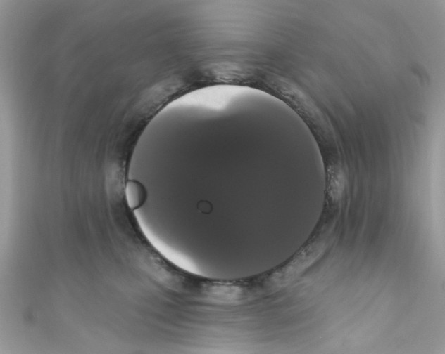 X0000111020471200907171859