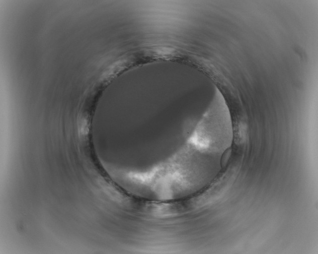 X0000111020472200907171859