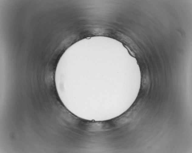 X0000111020473200907171859