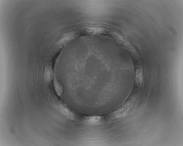 X0000111020474200907171859