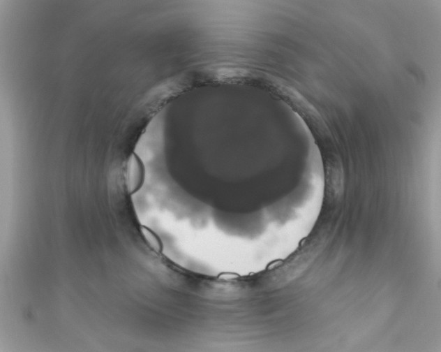 X0000111020475200907171859
