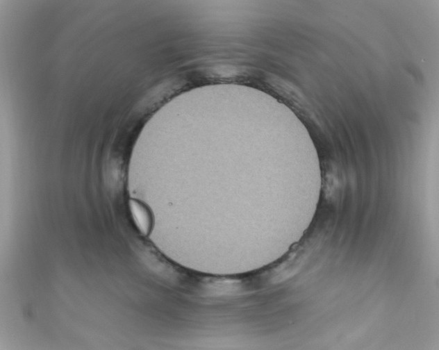 X0000111020476200907171859