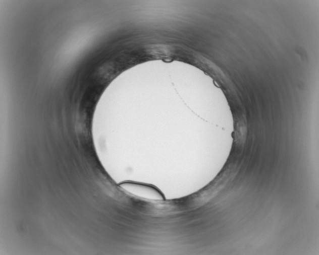 X0000111020477200907171859