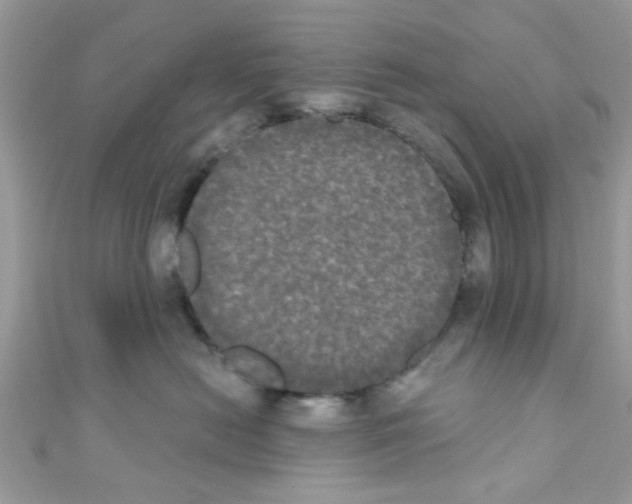 X0000111020478200907171859