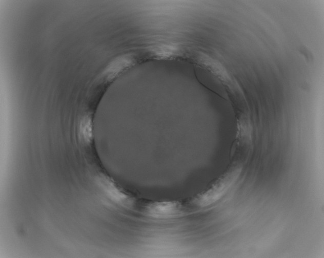 X0000111020479200907171859