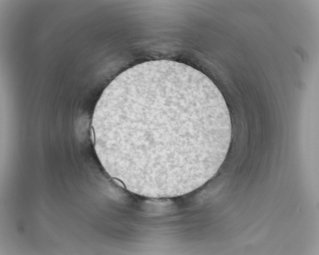 X0000111020480200907171859
