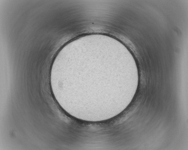 X0000111020481200907171858