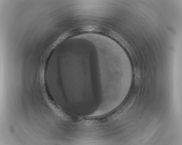 X0000111020482200907171858