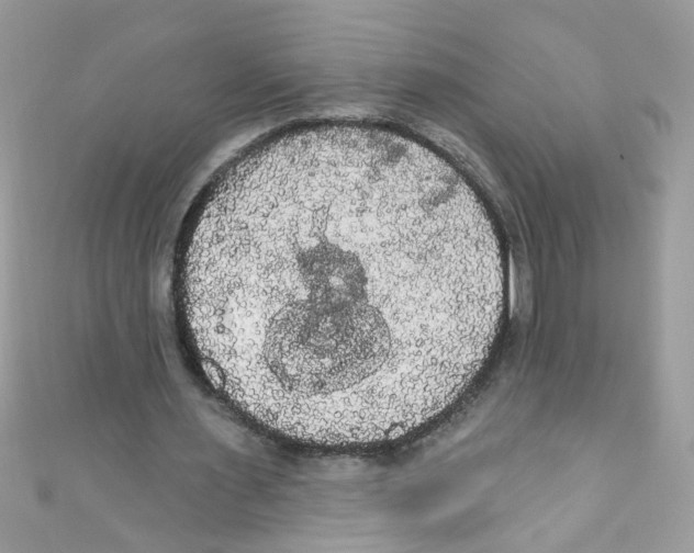 X0000111020483200907171858