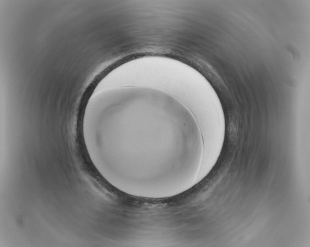 X0000111020484200907171858