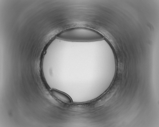 X0000111020485200907171858